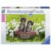 Ravensburger Puzzel Picknick In De Wei - 1000 Stukjes