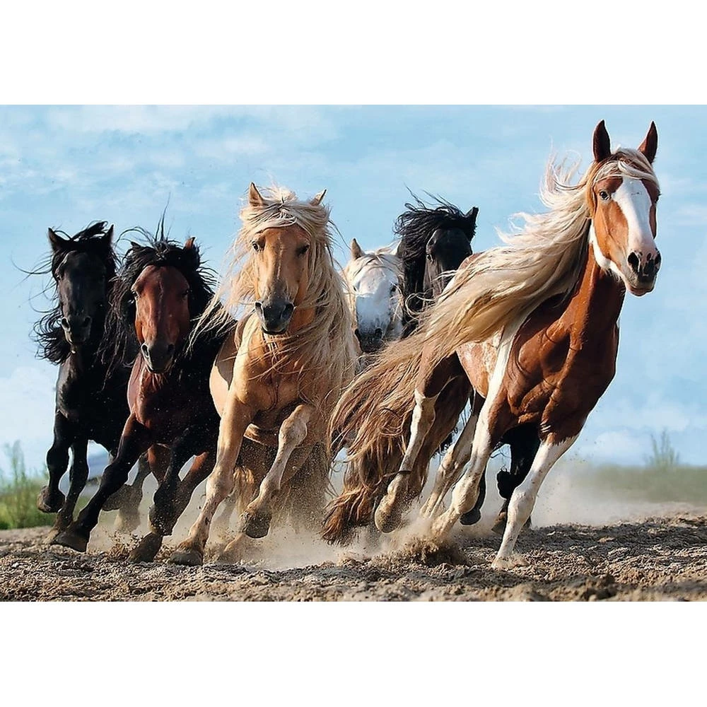 Trefl Puzzel Galopperende Paarden - 1000 Stukjes 2 Trefl Puzzel Galopperende Paarden - 1000 Stukjes - Afbeelding 2
